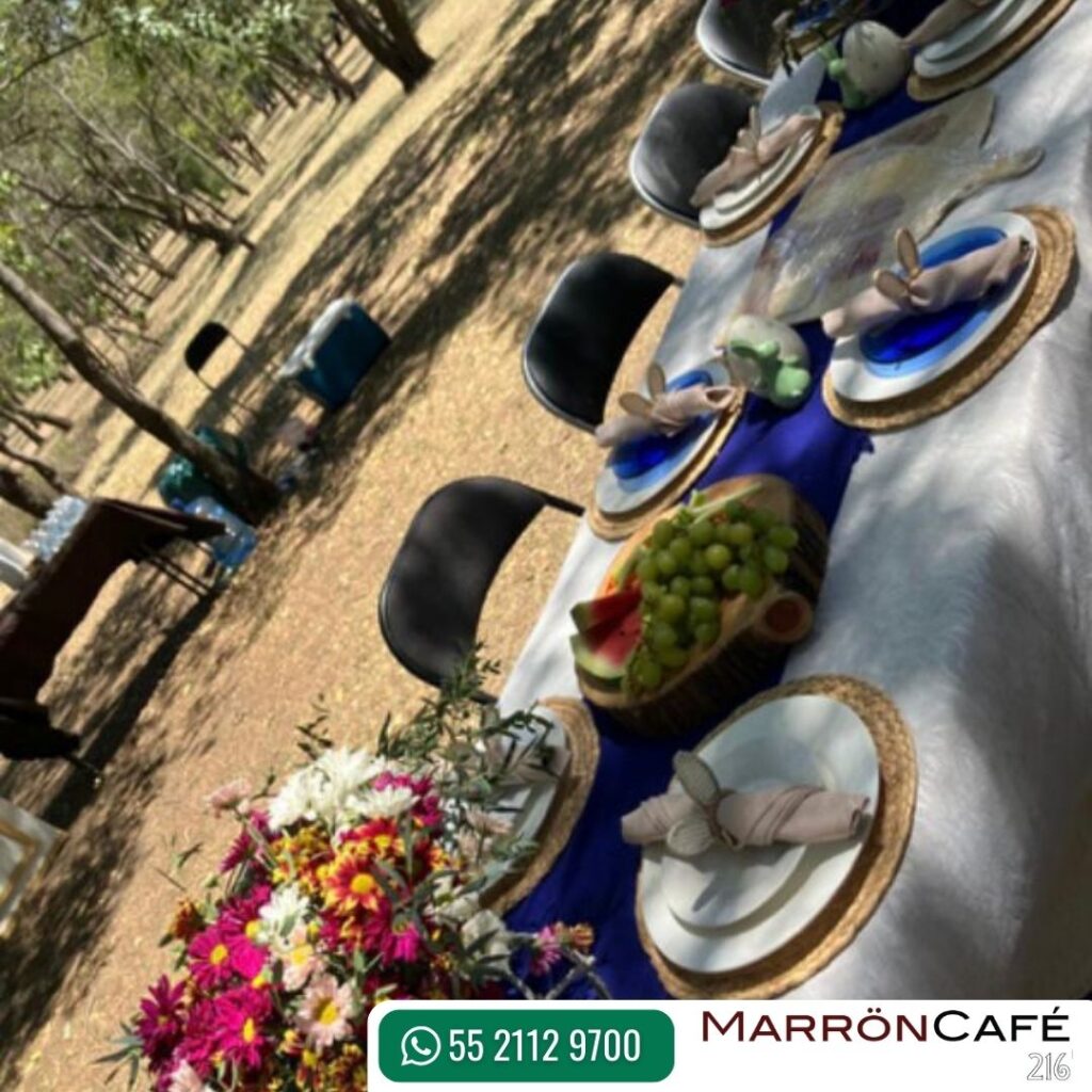 picnicinmybasketmarroncafecdmexico